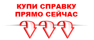 справка в Воронеже