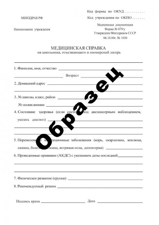 Справка в пионерский лагерь в Воронеже